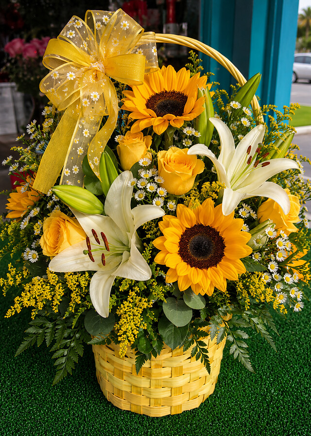 Sunflower and white lily basket arrangement from Blossoms Flower Shop